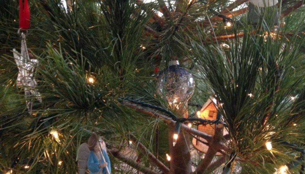 Hanke Christmas Tree up close