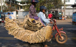 Cambodia