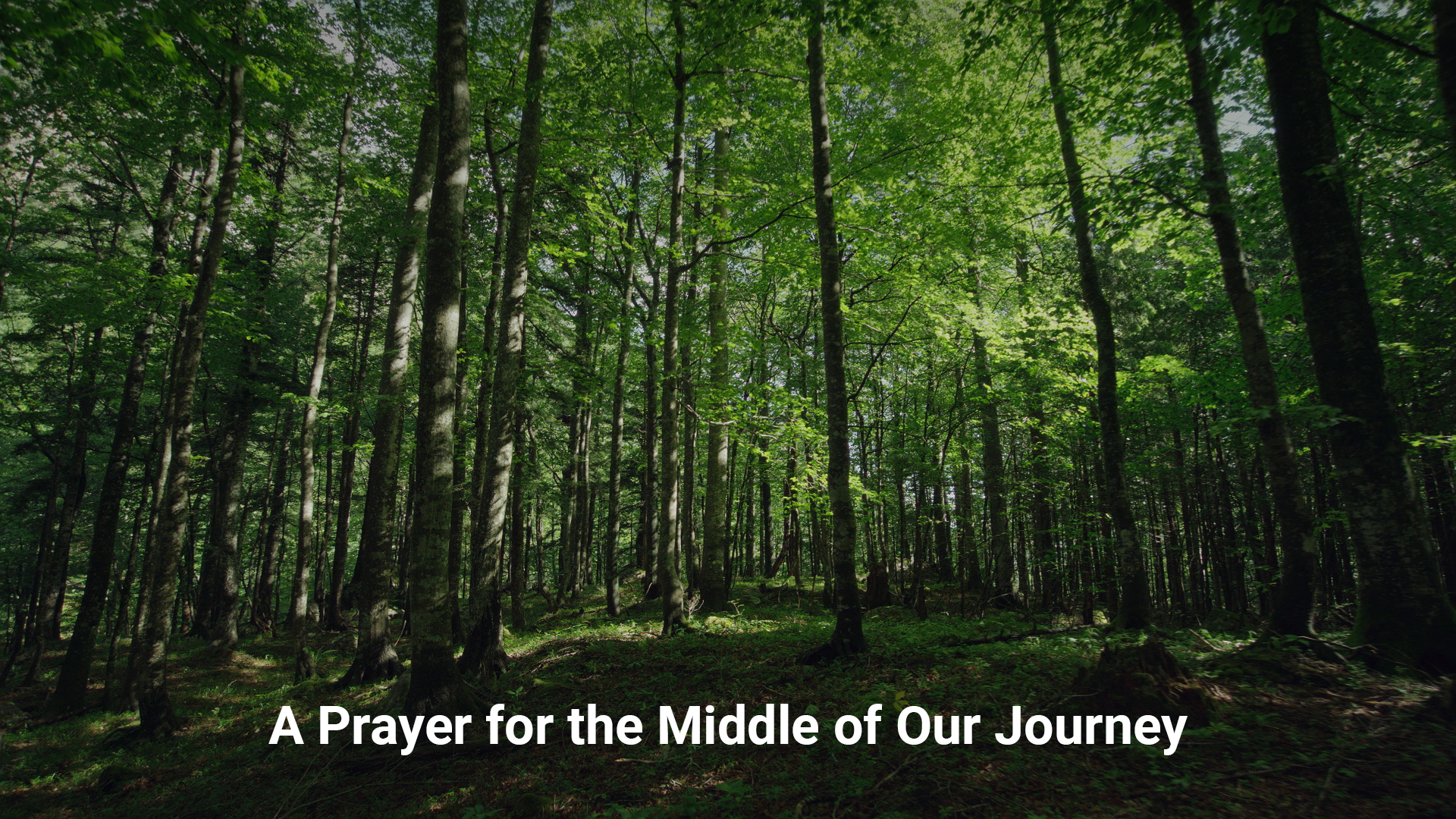 A Prayer for the Middle of our Journey